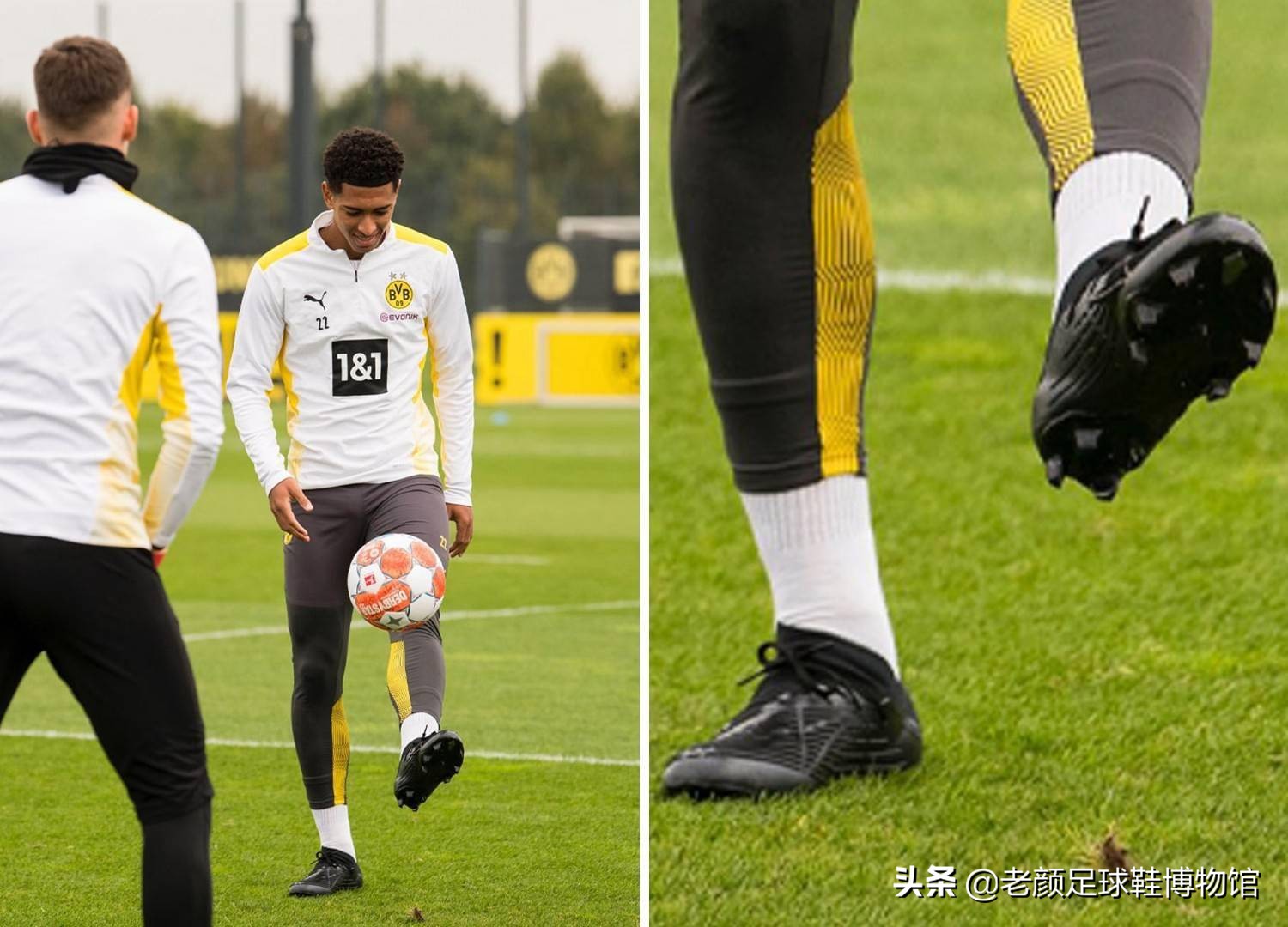 来自非洲 来自非洲