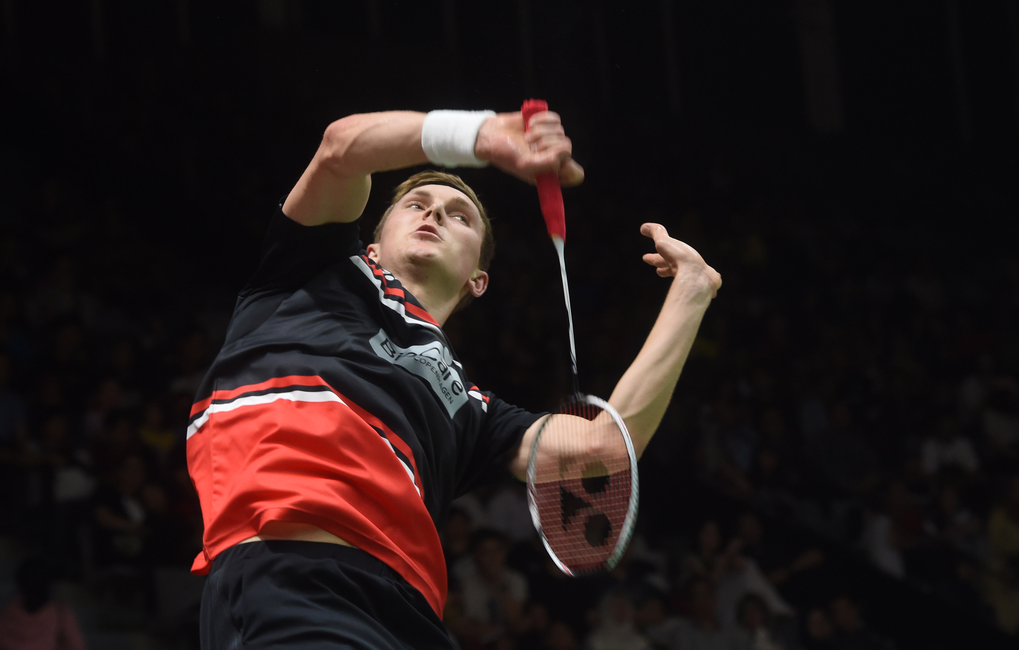 自由翱翔 自由翱翔