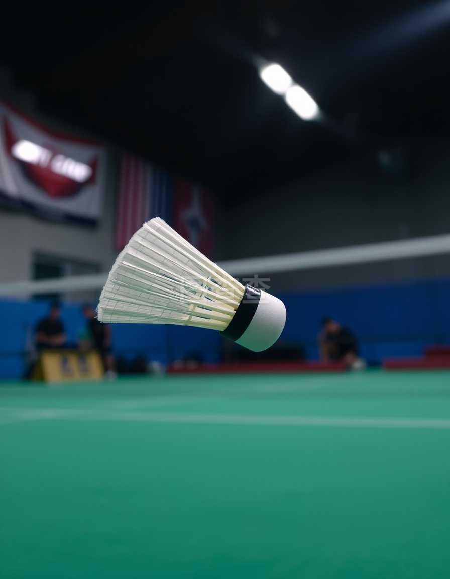 合理设定乐 合理设定乐